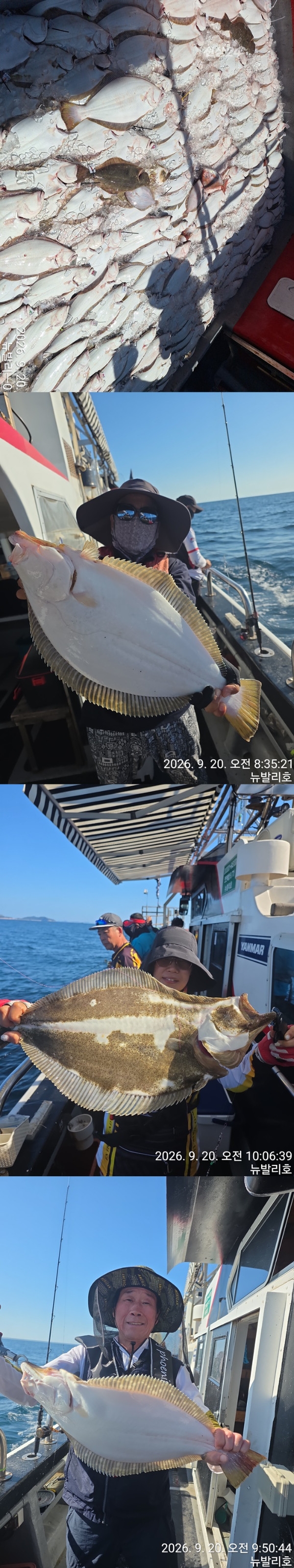 9월 21일 군산 갑오징어 선상낚시 조황 현장 사진 4