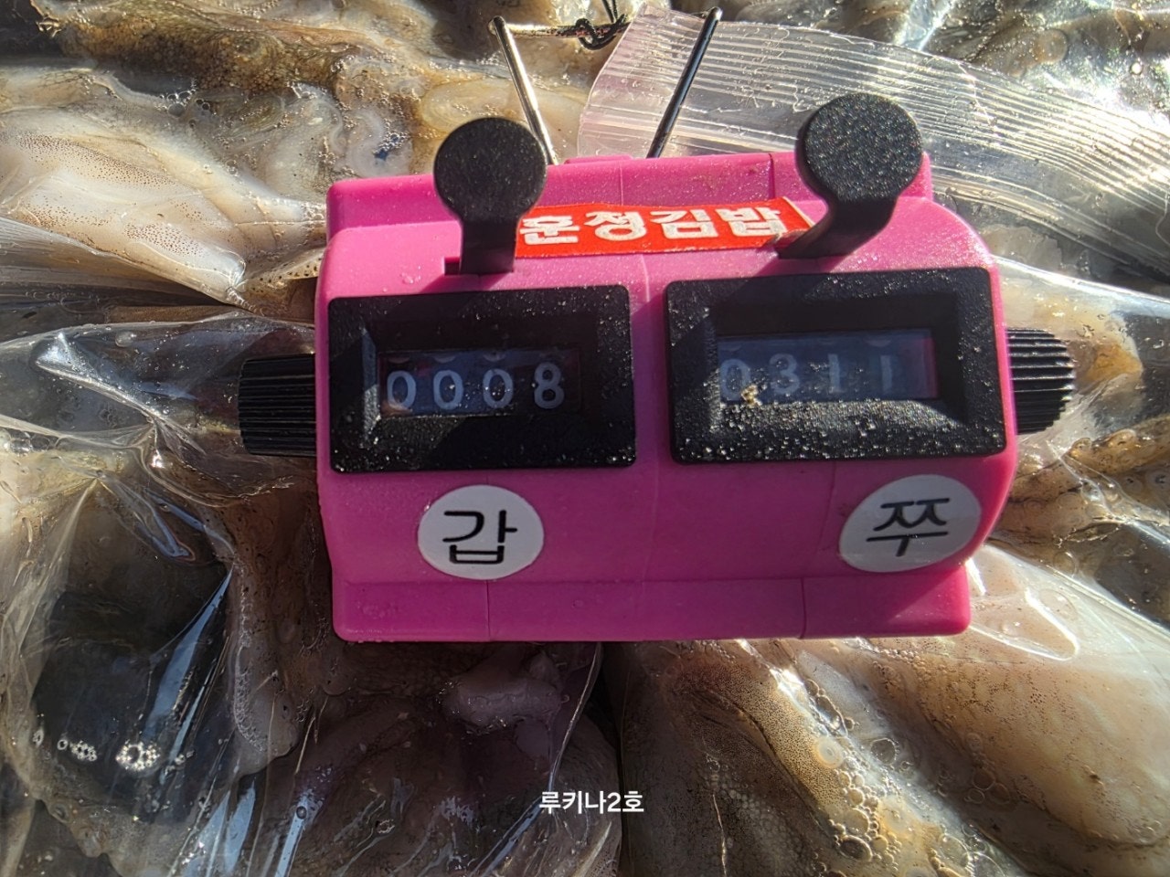 사용자가 올린 이미지