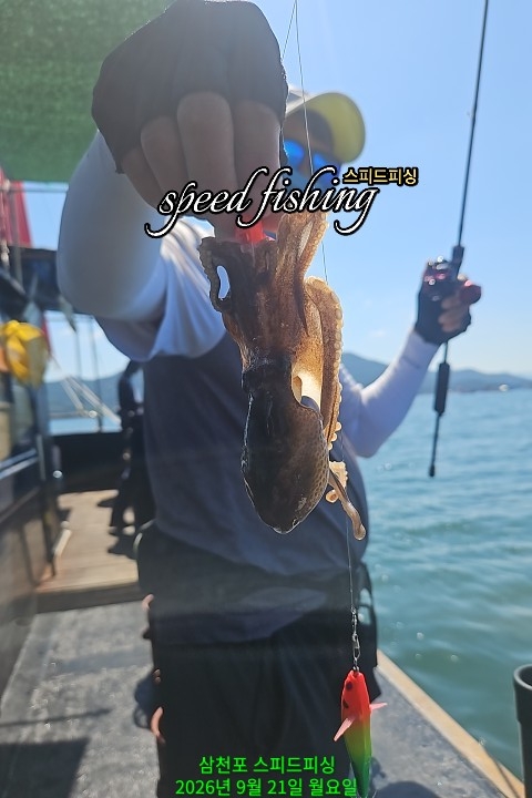 9월 21일 삼천포 문어 선상낚시 조황 현장 사진 6