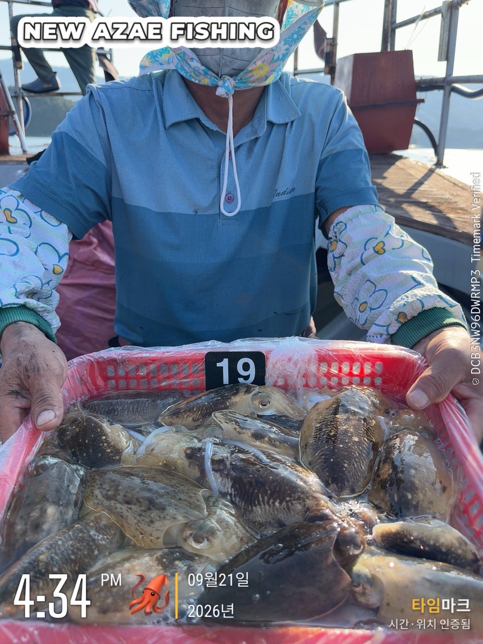 9월 21일 갑오징어 선상낚시 조황 현장 사진 7