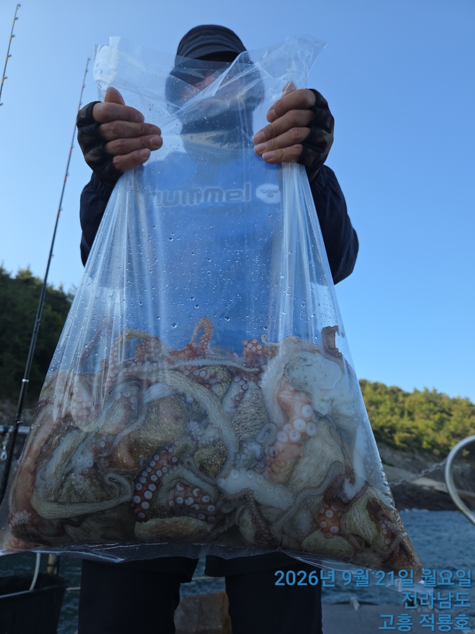 9월 21일 문어 선상낚시 조황 현장 사진 6