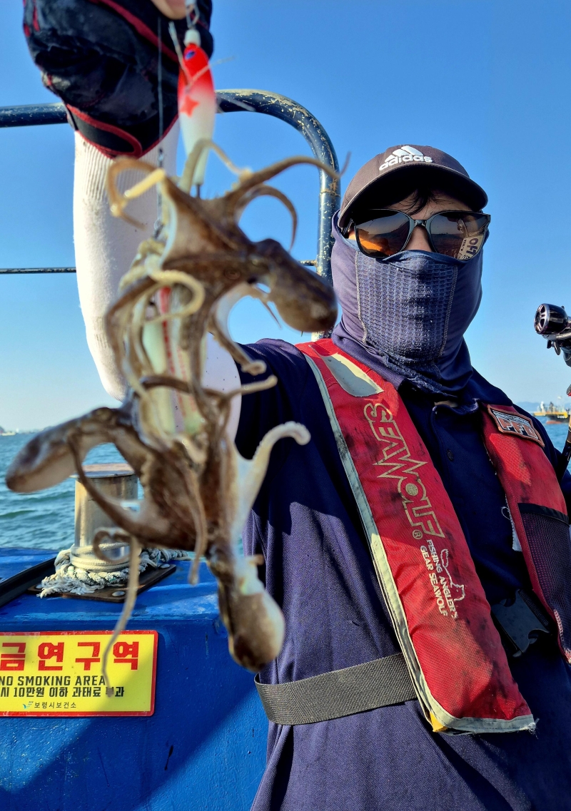 10월 1일 갑오징어 선상낚시 조황 현장 사진 9