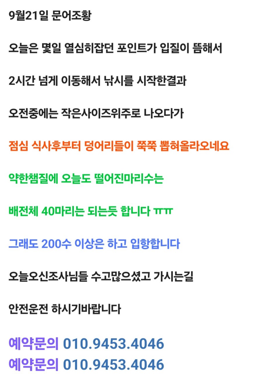 9월 21일 선상낚시 조황 현장 사진 1