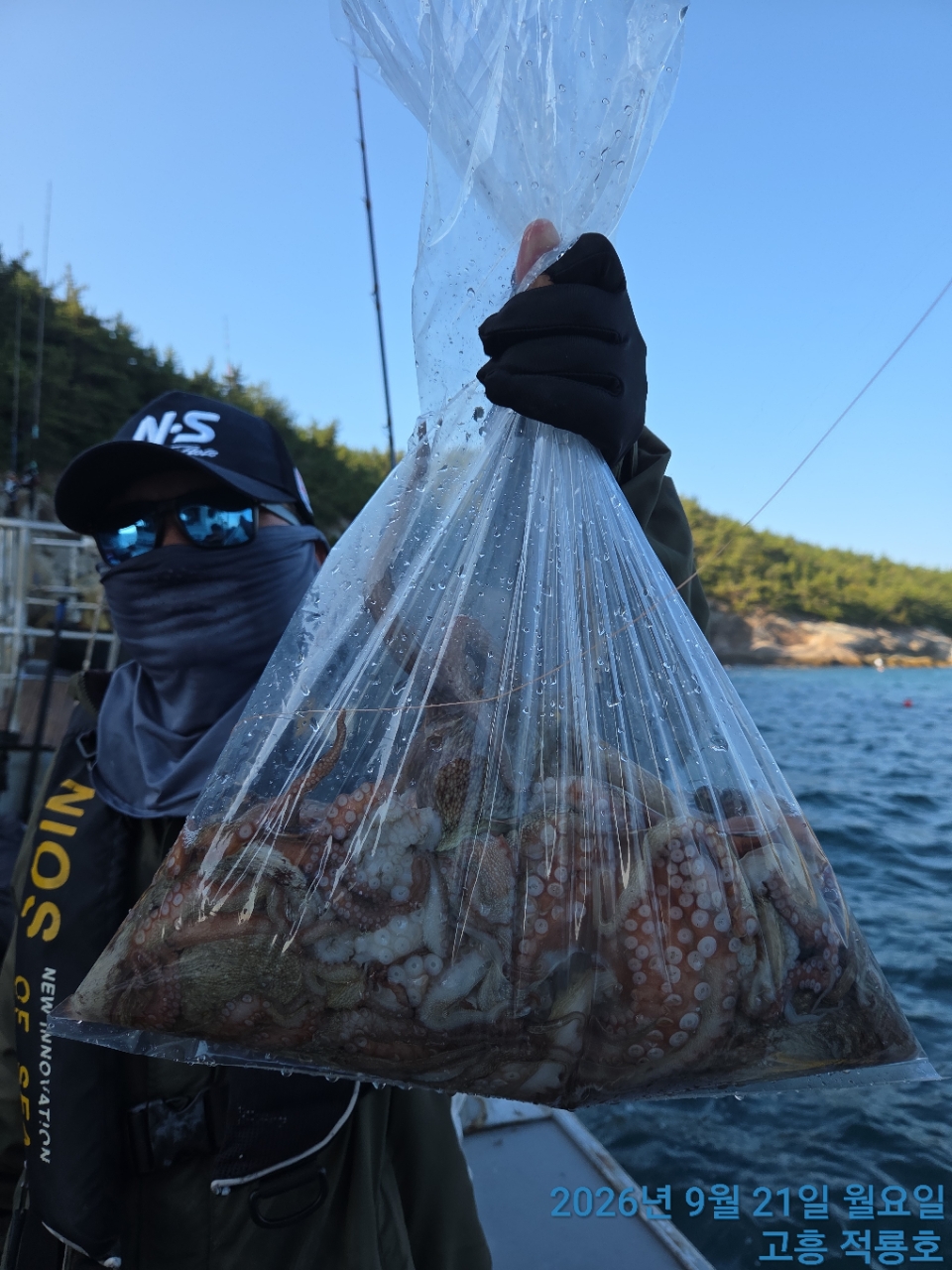 9월 21일 문어 선상낚시 조황 현장 사진 18