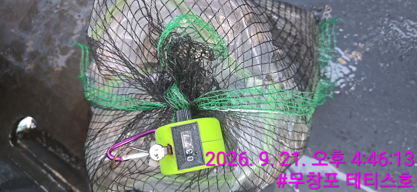9월 21일 갑오징어 선상낚시 조황 현장 사진 7