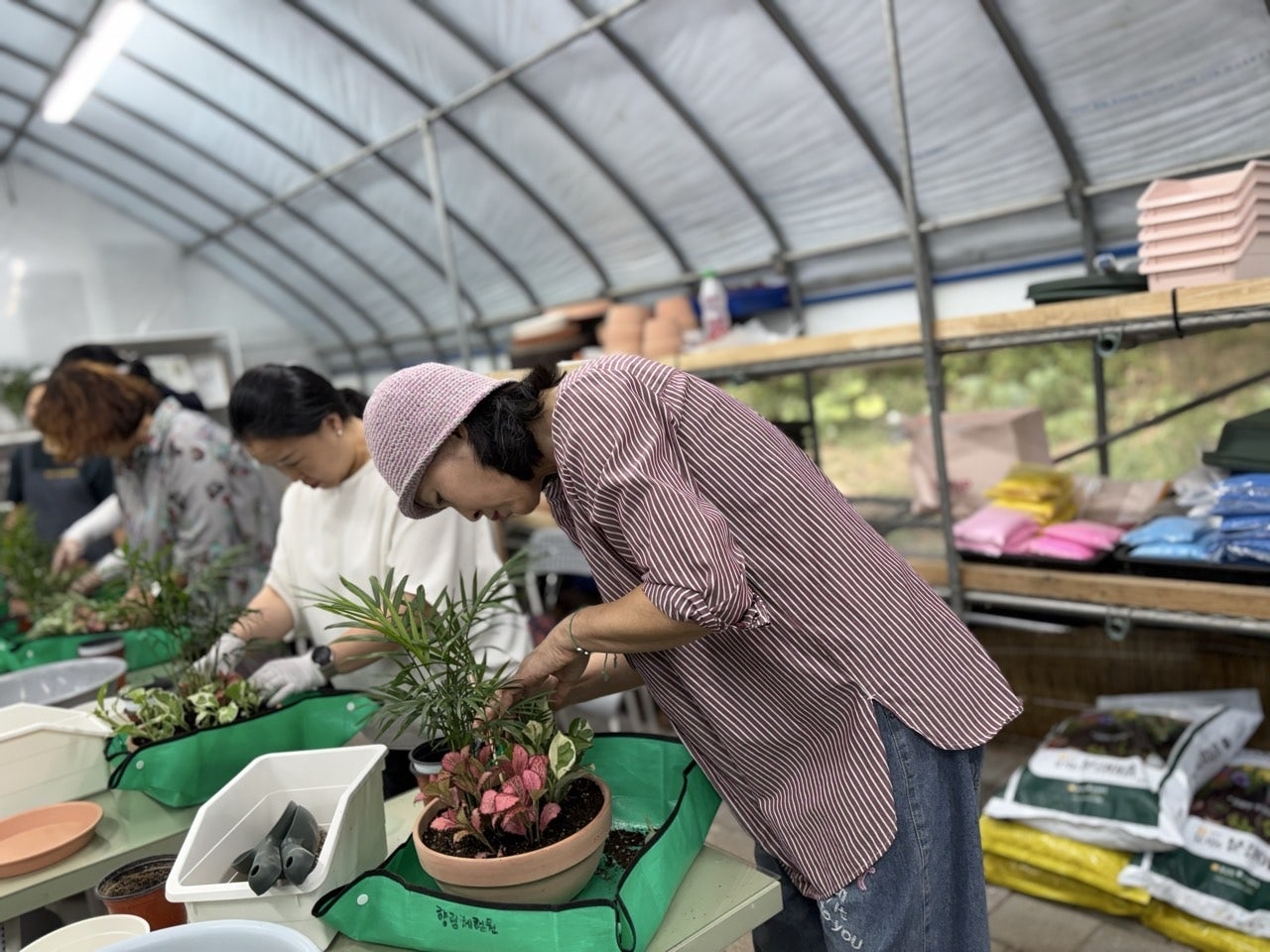 사용자가 올린 이미지