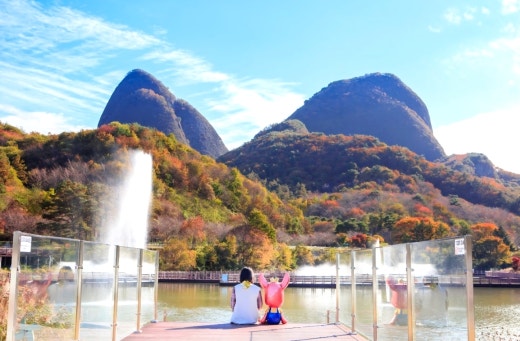 사진