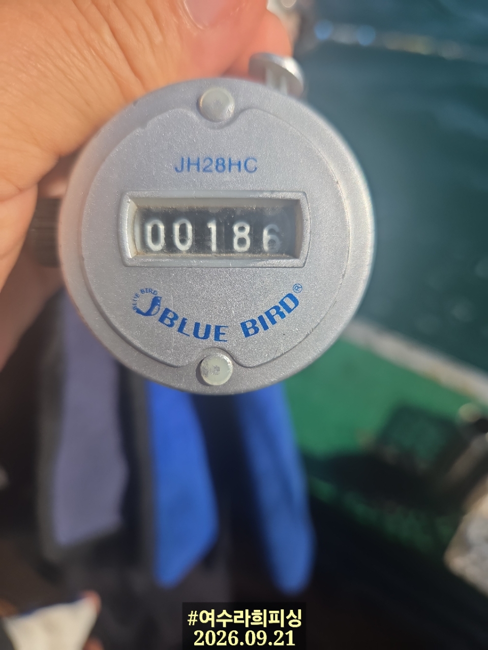 9월 21일 주꾸미 선상낚시 조황 현장 사진 12
