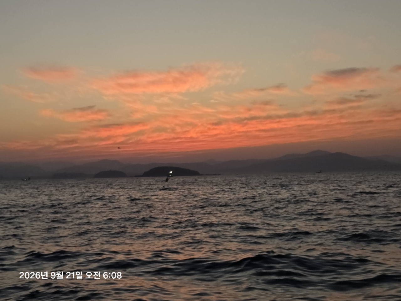 9월 21일 여수 갑오징어 선상낚시 조황 현장 사진 15