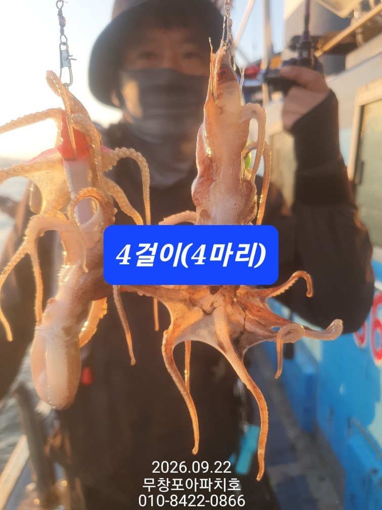 9월 22일 포항 주꾸미 선상낚시 조황 현장 사진 11