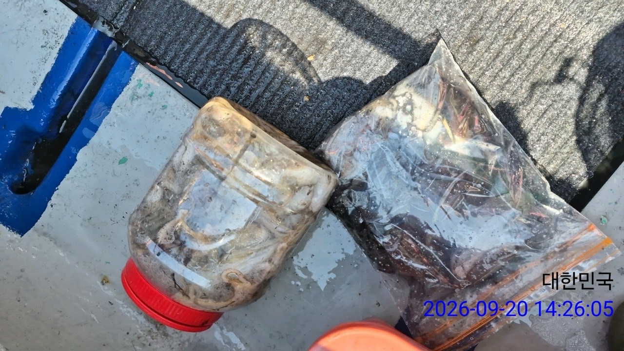 9월 22일 삼천포 문어 선상낚시 조황 현장 사진 5