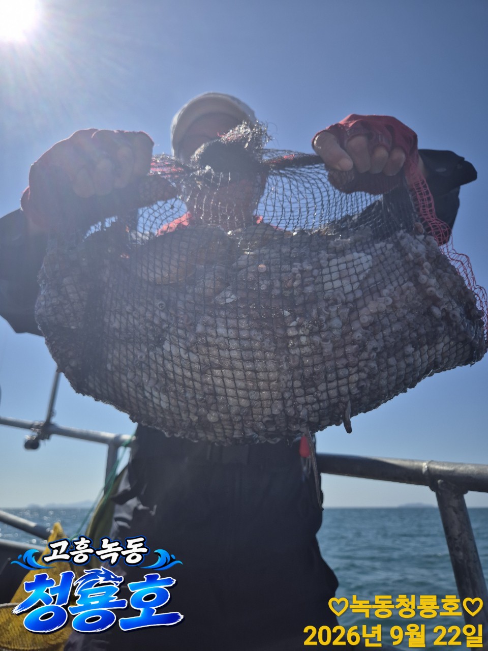 9월 22일 문어 선상낚시 조황 현장 사진 12
