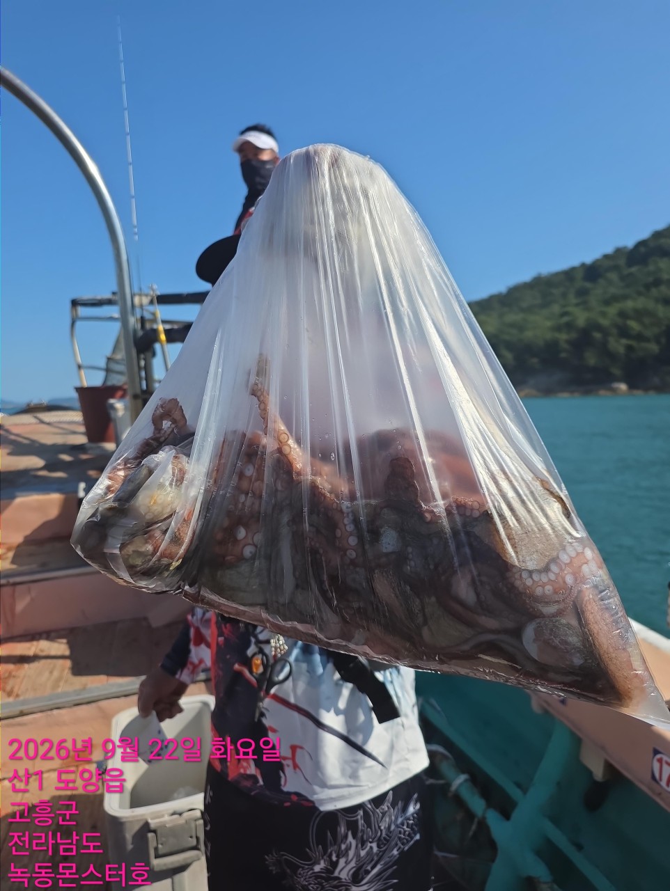 9월 22일 문어 선상낚시 조황 현장 사진 8