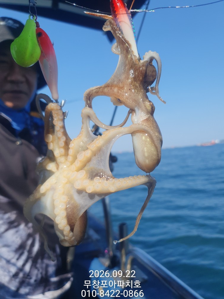 9월 22일 포항 주꾸미 선상낚시 조황 현장 사진 13
