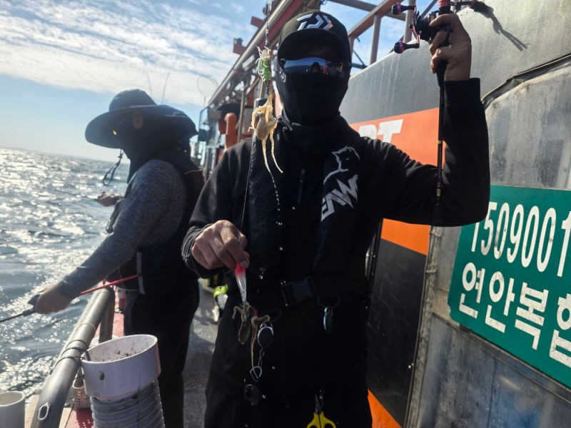9월 22일 인천 갑오징어 선상낚시 조황 현장 사진 23