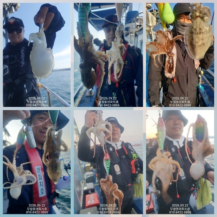 9월 22일 포항 주꾸미 선상낚시 조황 현장 사진 4