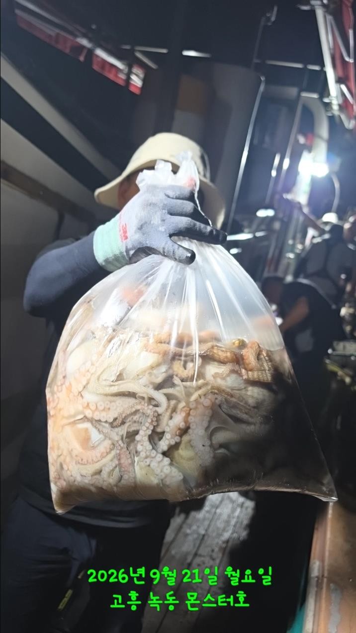 9월 21일 문어 선상낚시 조황 현장 사진 11
