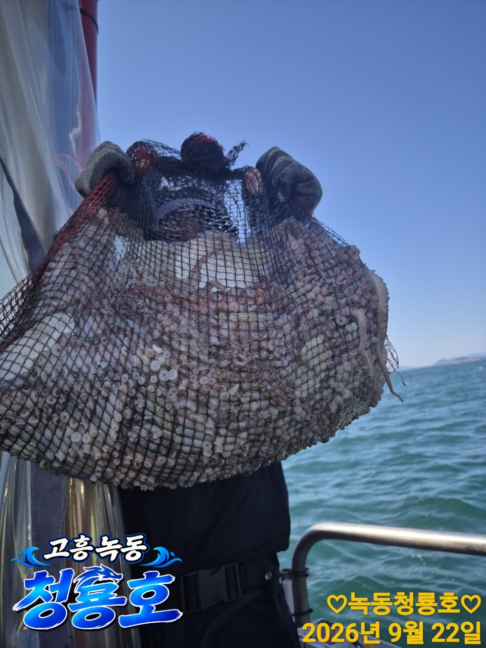 9월 22일 문어 선상낚시 조황 현장 사진 5