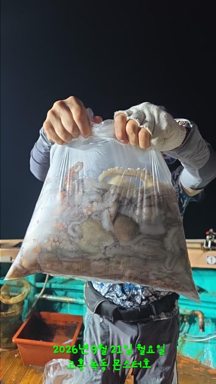 9월 21일 문어 선상낚시 조황 현장 사진 1