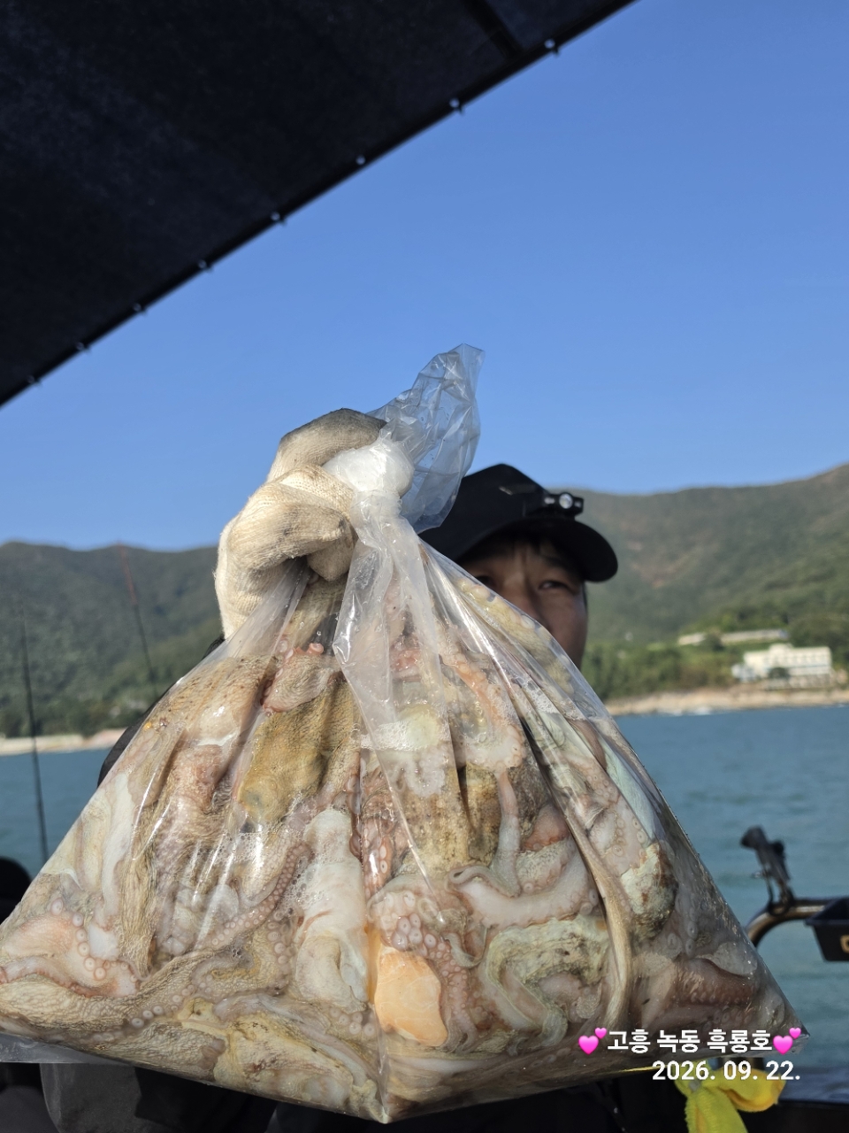 9월 22일 문어 선상낚시 조황 현장 사진 11