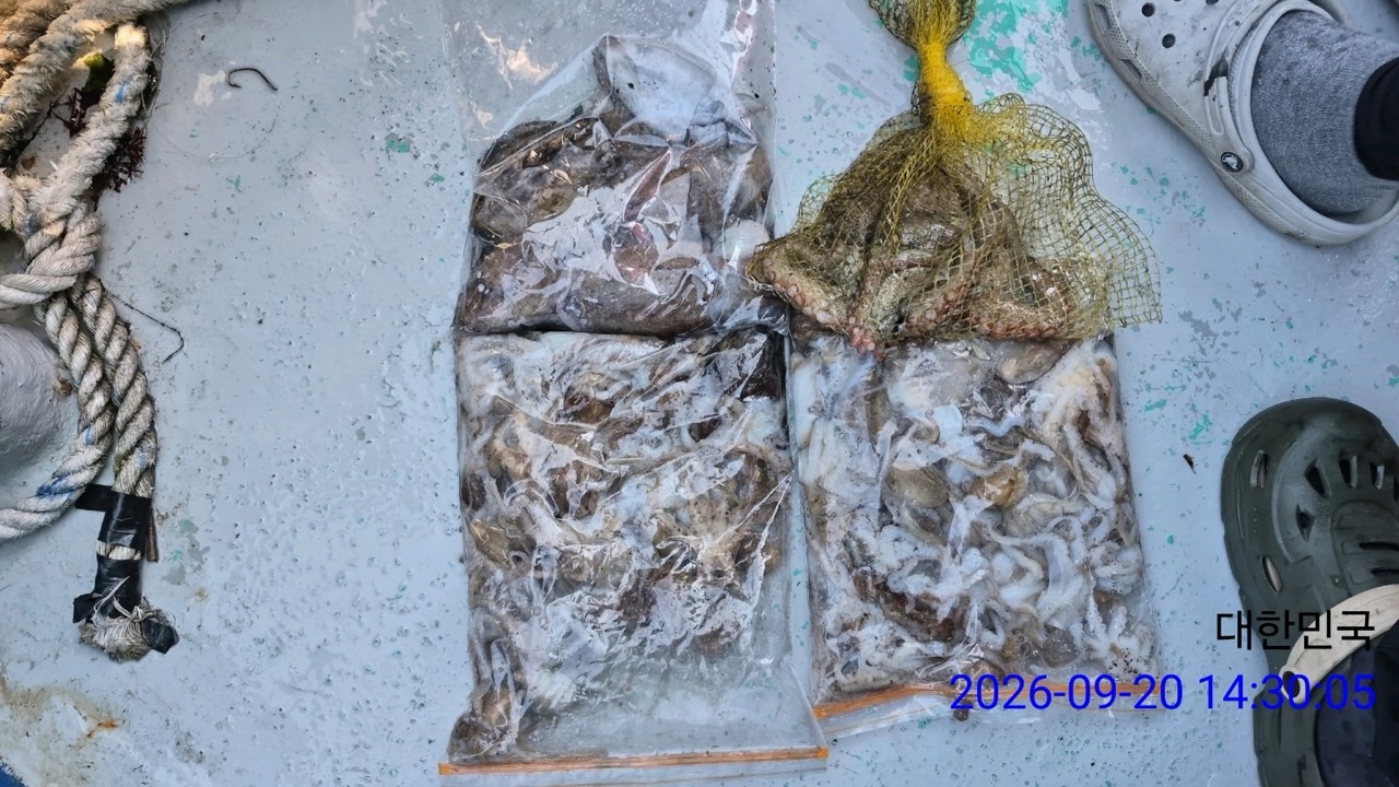 9월 22일 삼천포 문어 선상낚시 조황 현장 사진 1