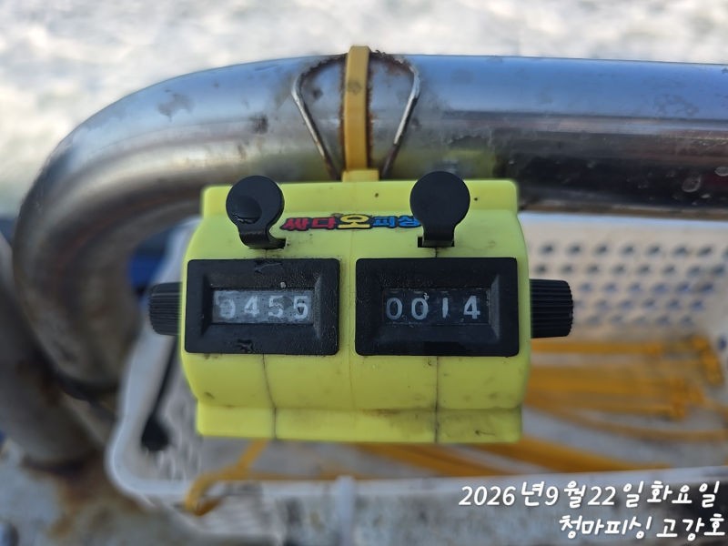 9월 22일 인천 갑오징어 선상낚시 조황 현장 사진 18