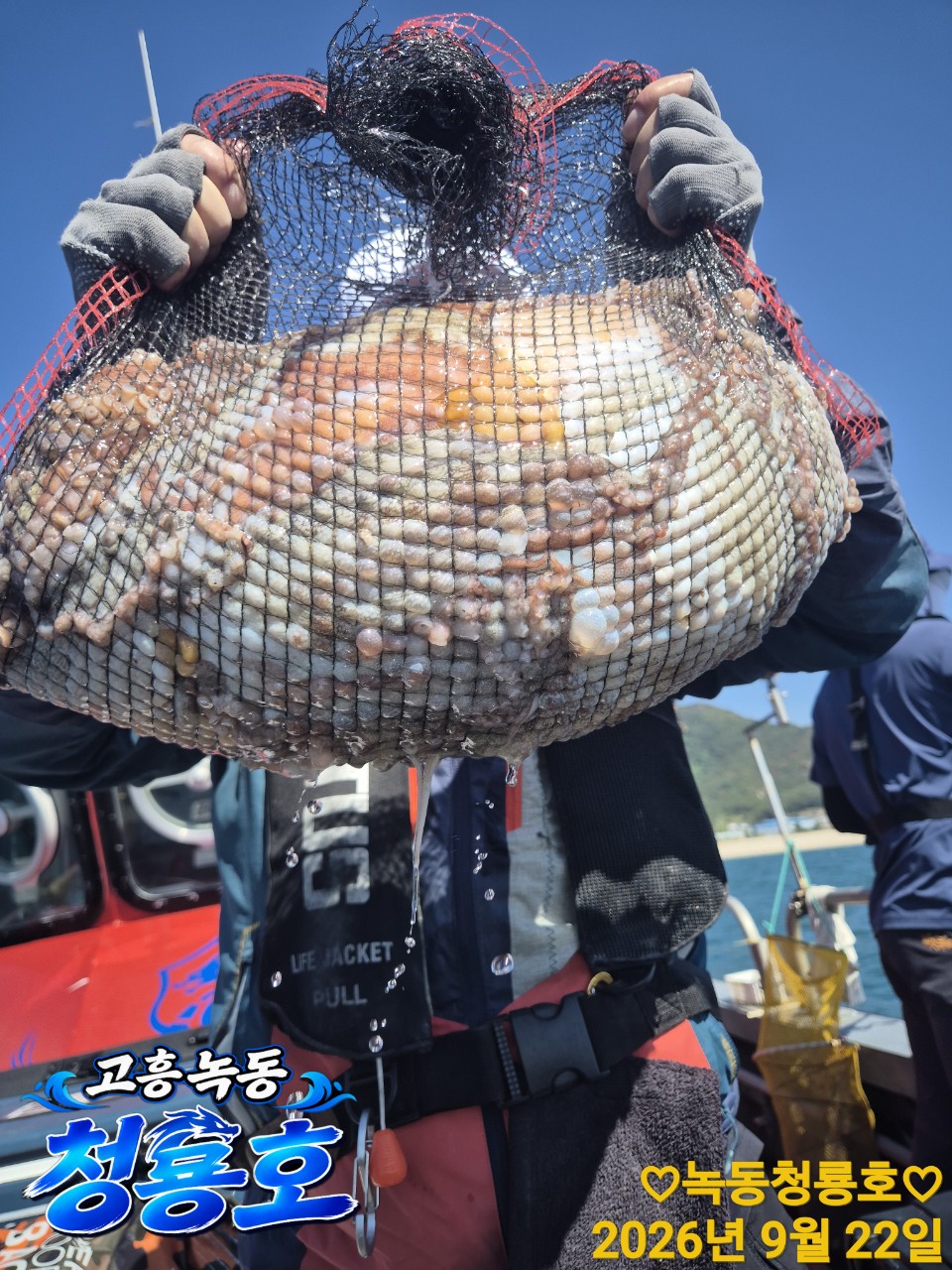 9월 22일 문어 선상낚시 조황 현장 사진 11