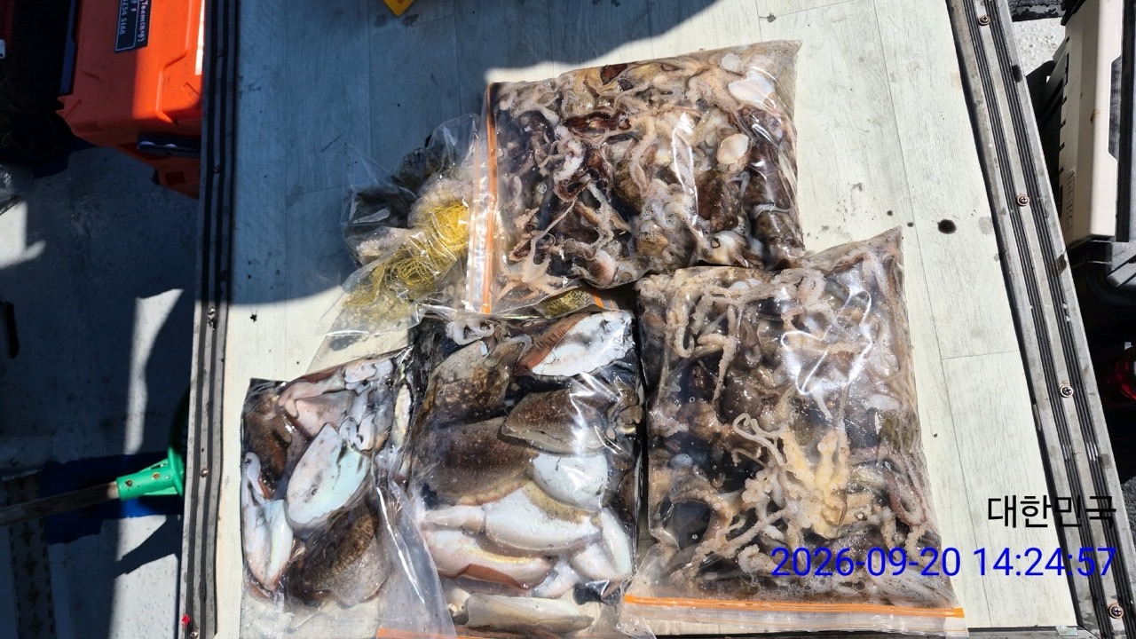 9월 22일 삼천포 문어 선상낚시 조황 현장 사진 6