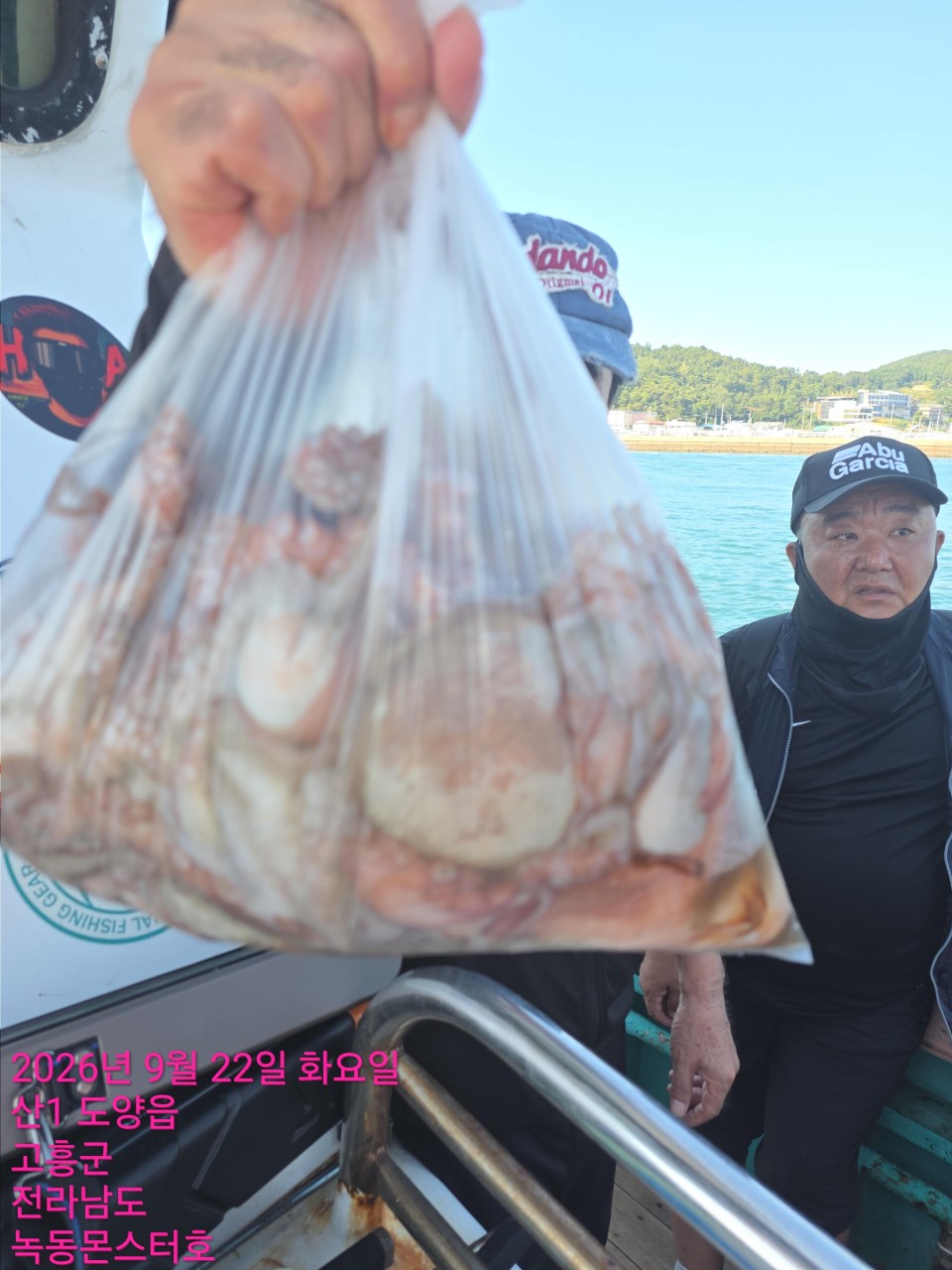 9월 22일 문어 선상낚시 조황 현장 사진 3