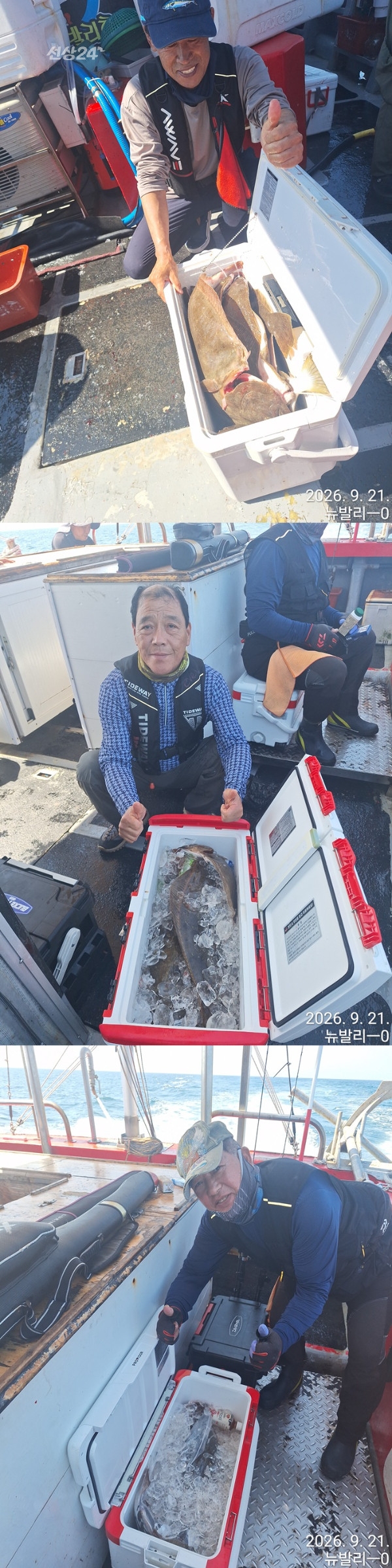 9월 22일 군산 갑오징어 선상낚시 조황 현장 사진 6