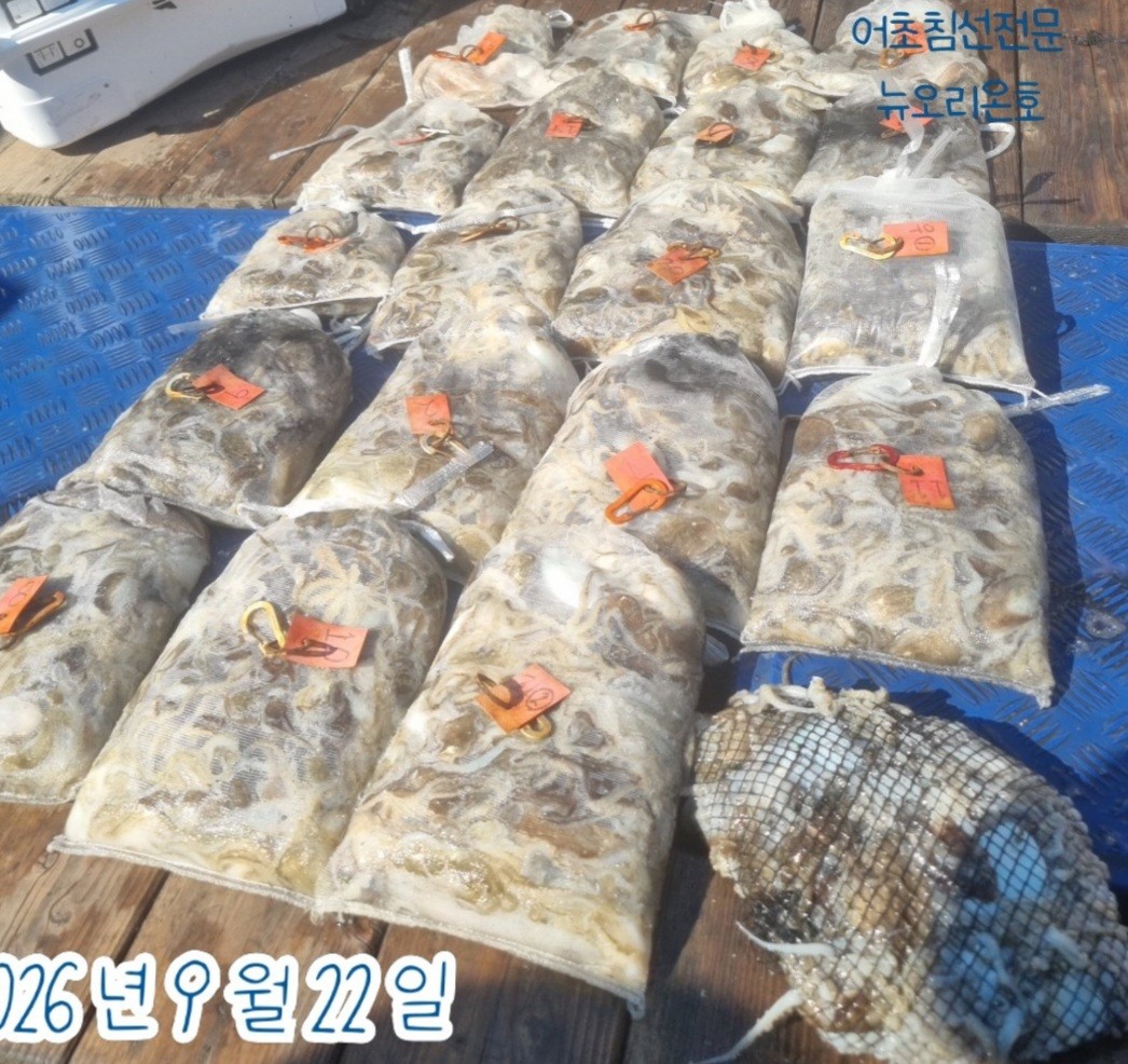 9월 22일 군산 주꾸미 선상낚시 조황 현장 사진 2
