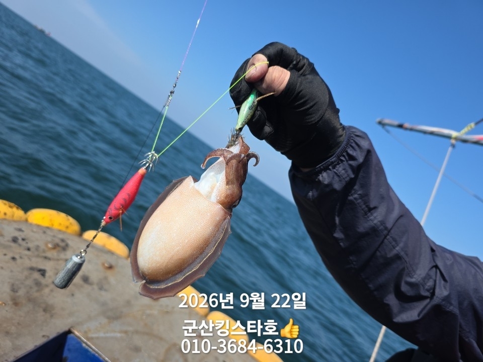 9월 22일 군산 주꾸미 선상낚시 조황 현장 사진 6