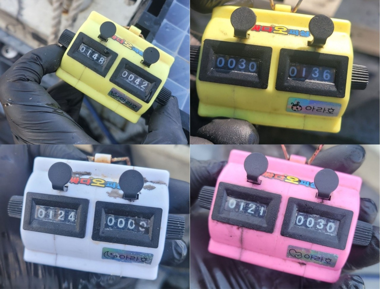 9월 22일 인천 갑오징어 선상낚시 조황 현장 사진 3