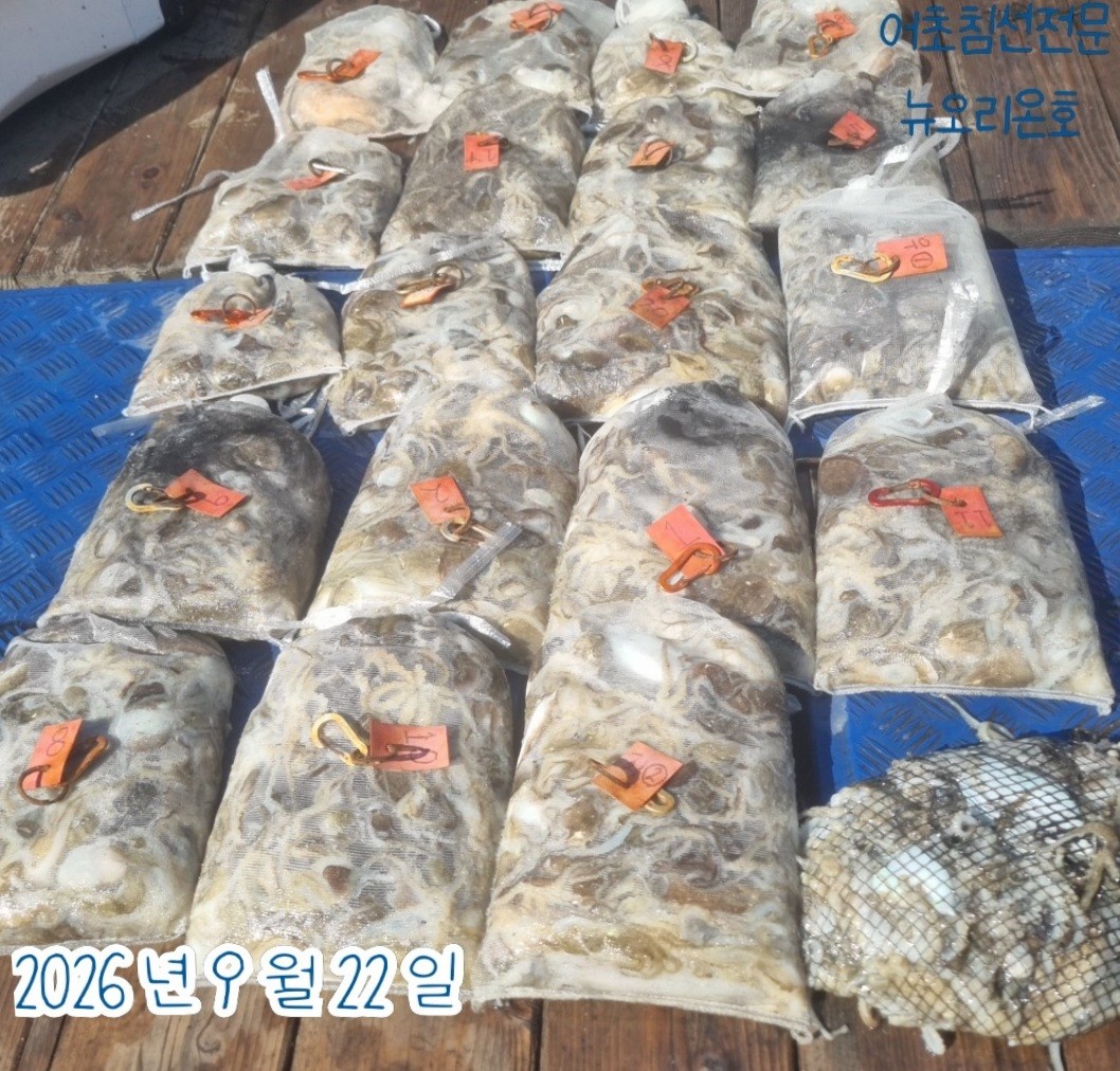 9월 22일 군산 주꾸미 선상낚시 조황 현장 사진 4