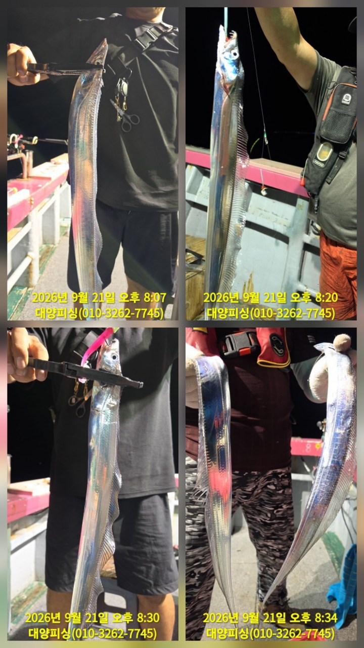 9월 22일 남해 선상낚시 조황 현장 사진 6