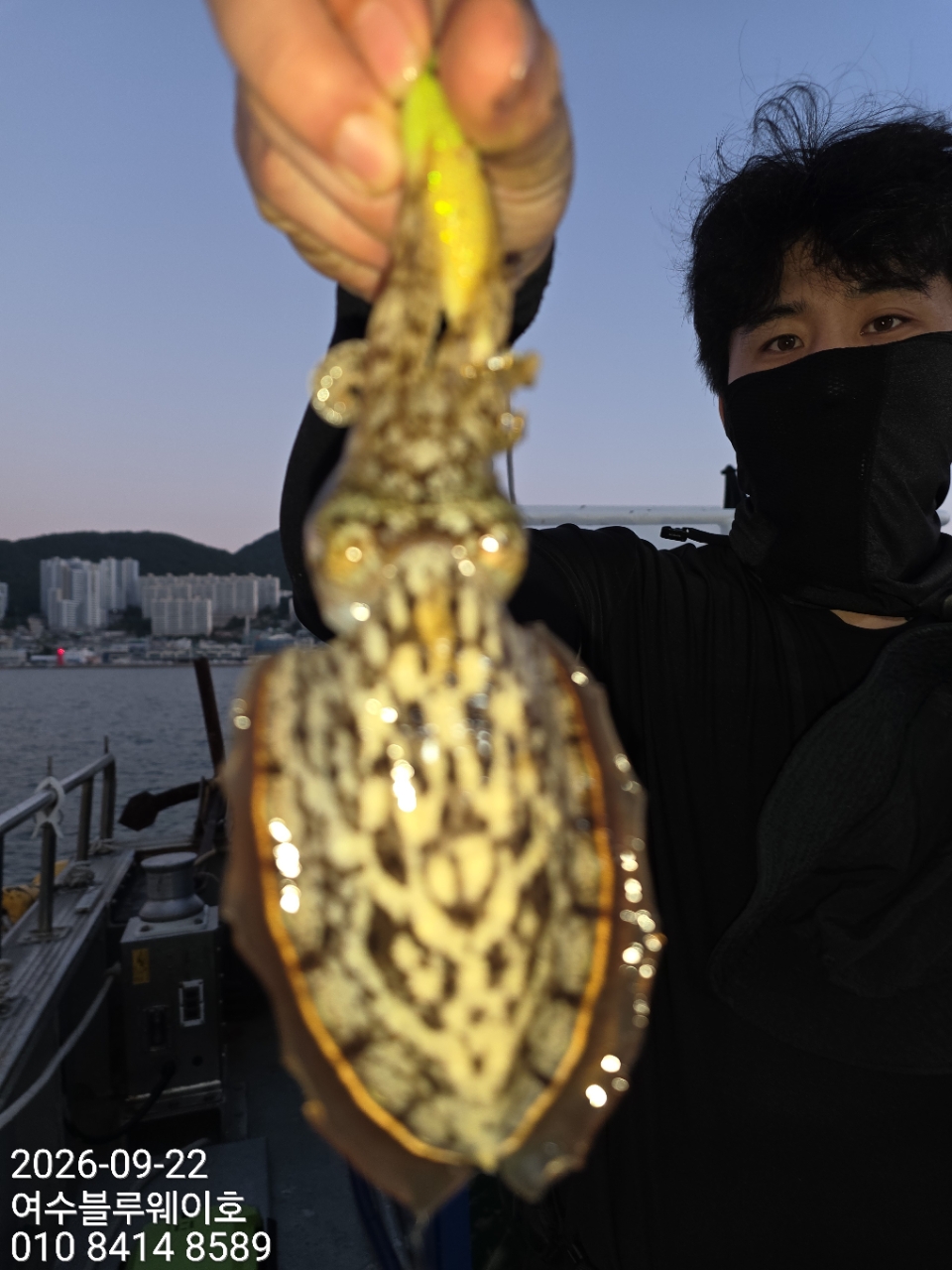9월 27일 여수 갑오징어 선상낚시 조황 현장 사진 28