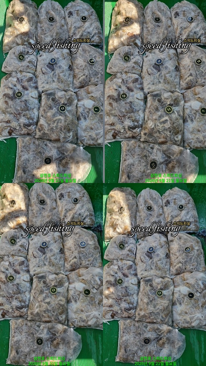 9월 22일 삼천포 문어 선상낚시 조황 현장 사진 5