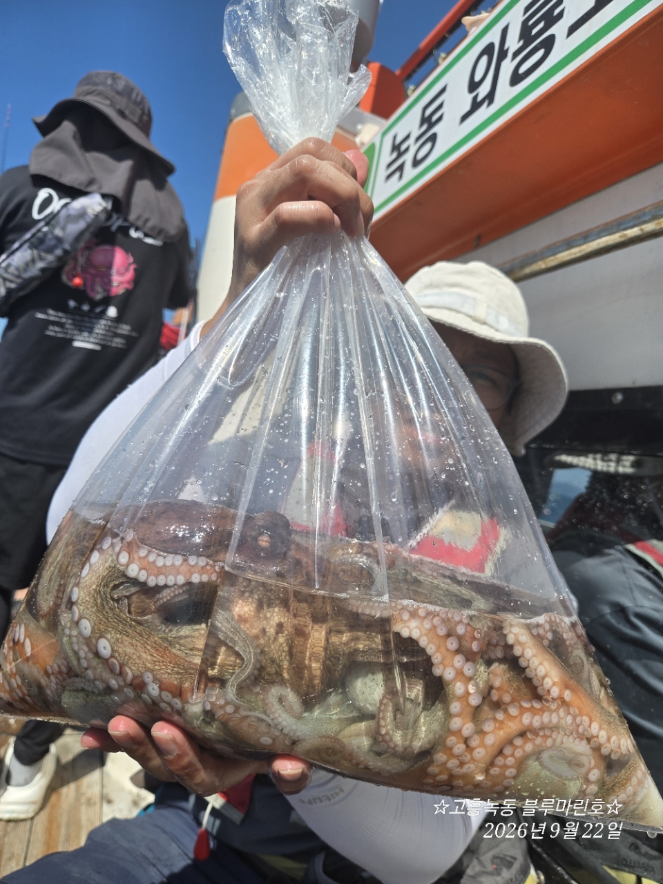 9월 22일 고흥 문어 선상낚시 조황 현장 사진 3