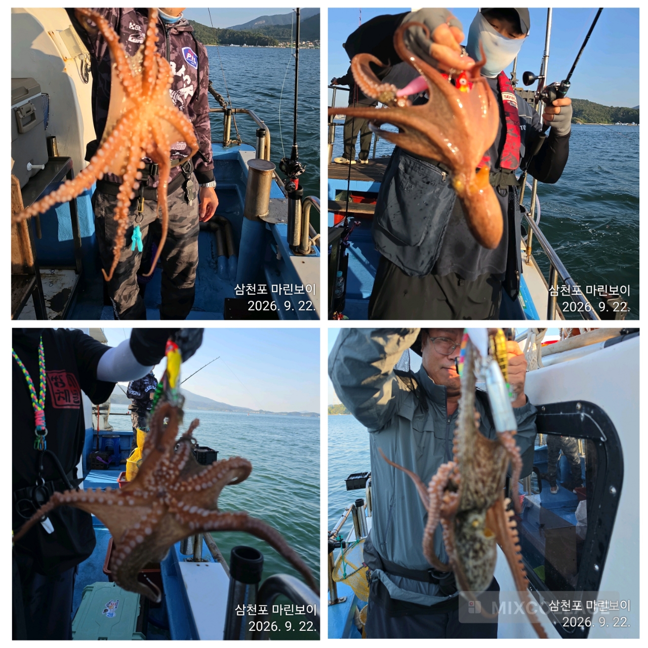 9월 22일 삼천포 문어 선상낚시 조황 현장 사진 3