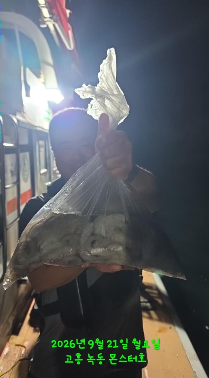9월 21일 문어 선상낚시 조황 현장 사진 12