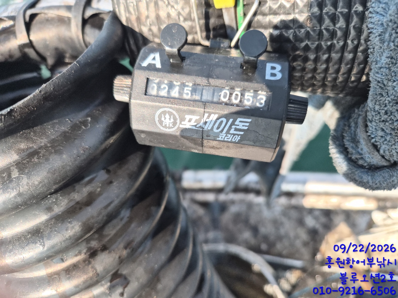 9월 22일 갑오징어 선상낚시 조황 현장 사진 4