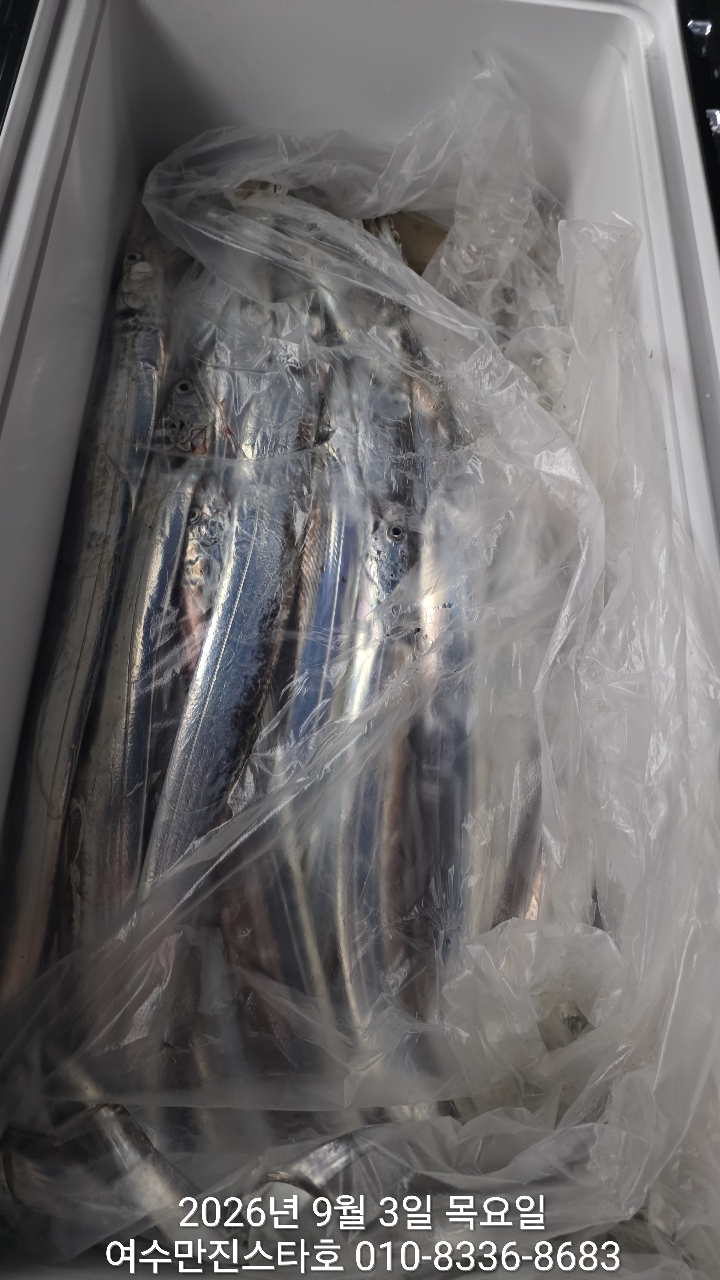 9월 22일 여수 갈치 선상낚시 조황 현장 사진 5