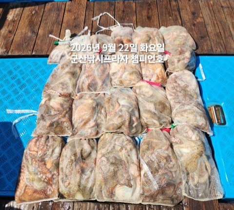 9월 22일 문어 선상낚시 조황 현장 사진 1