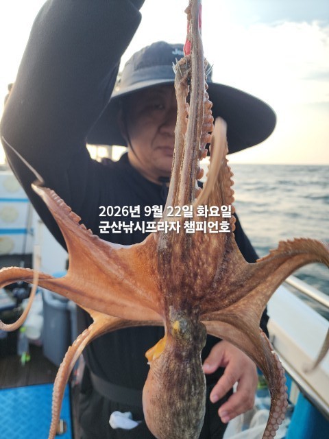 9월 22일 문어 선상낚시 조황 현장 사진 10
