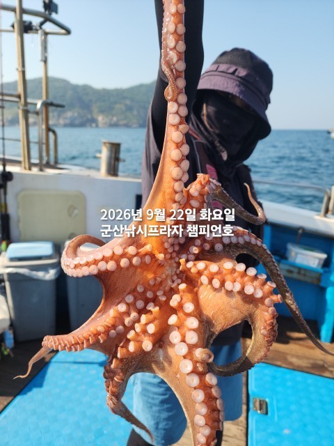 9월 22일 문어 선상낚시 조황 현장 사진 4