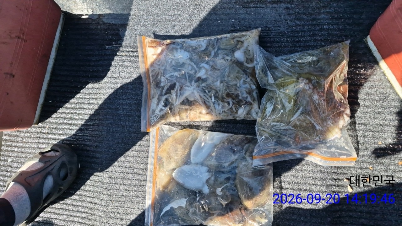 9월 22일 삼천포 문어 선상낚시 조황 현장 사진 10