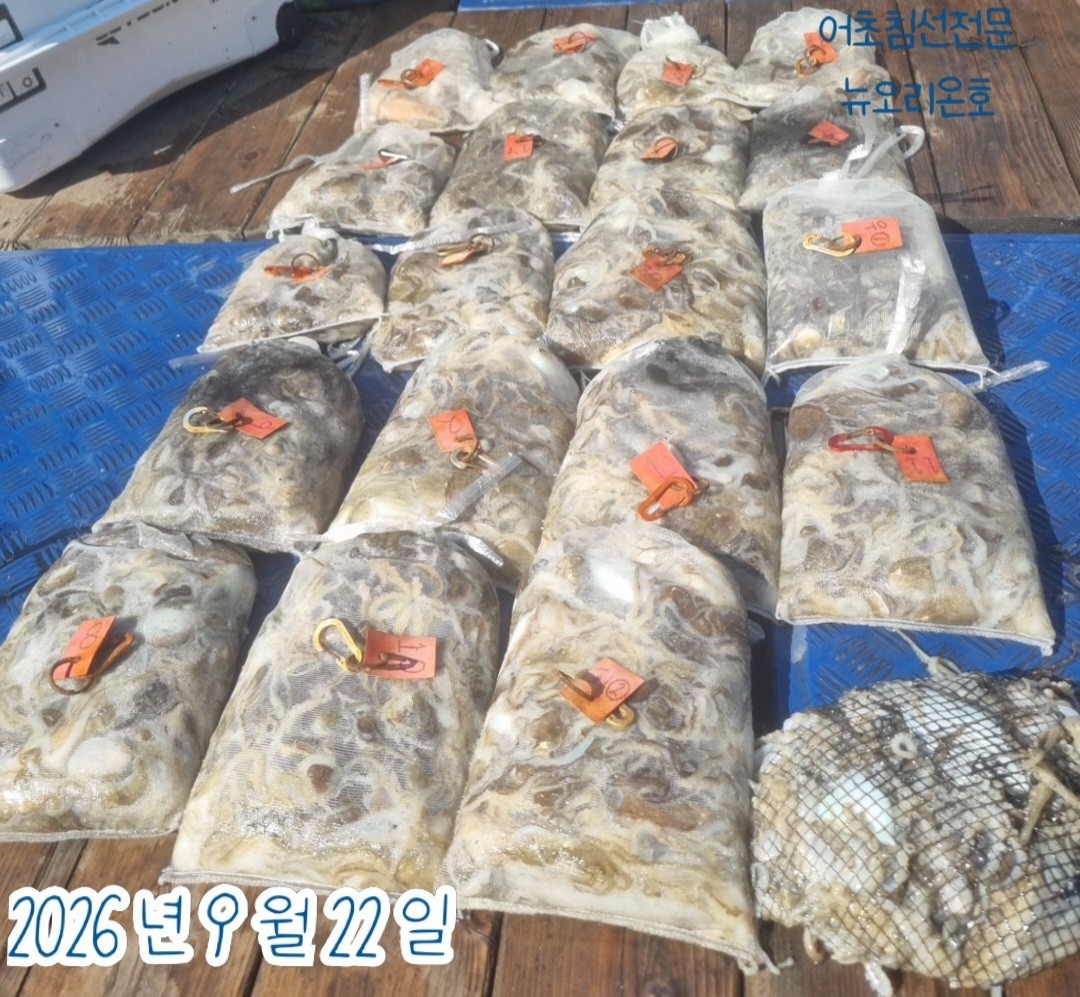 9월 22일 군산 주꾸미 선상낚시 조황 현장 사진 3