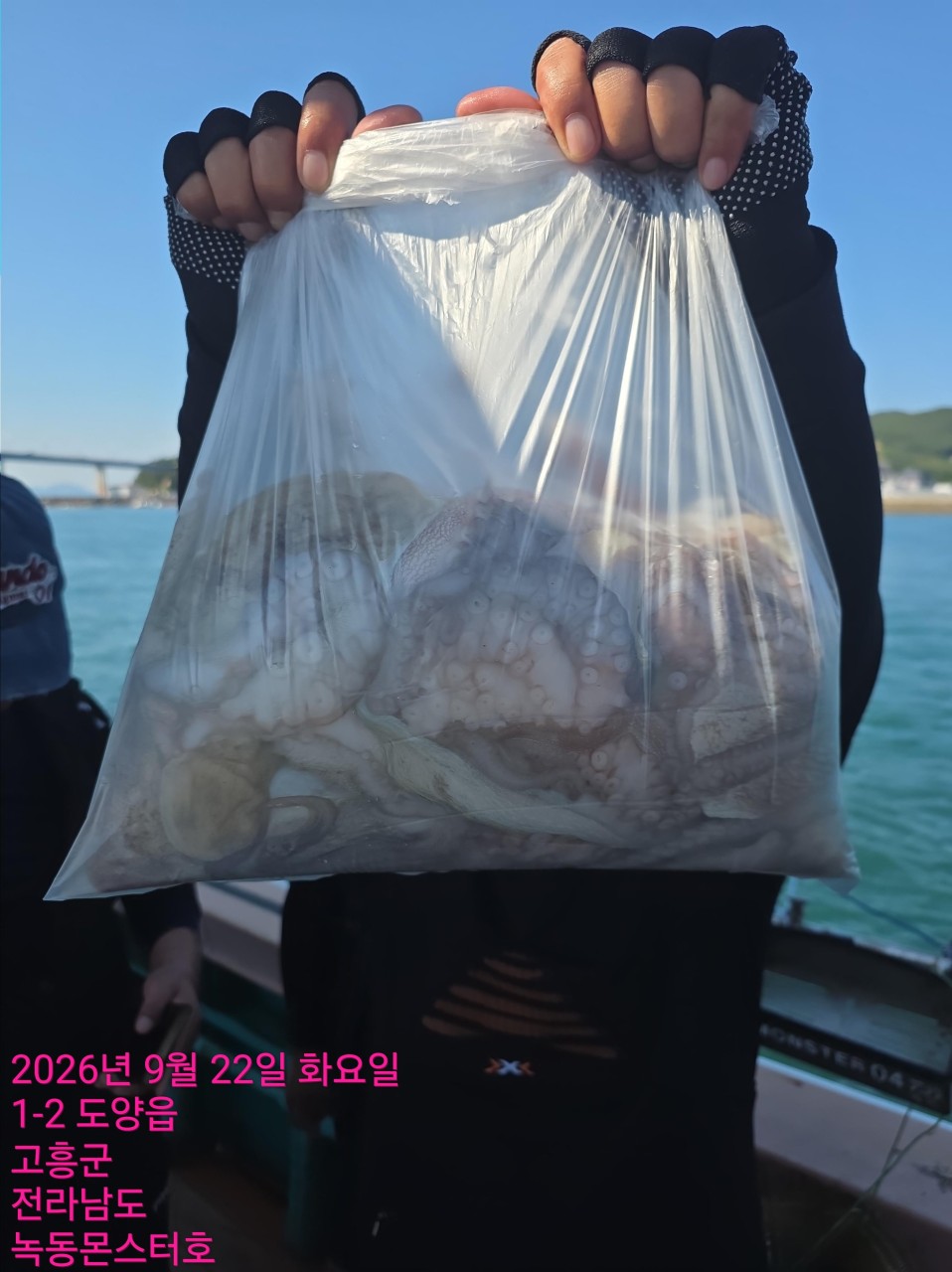 9월 22일 문어 선상낚시 조황 현장 사진 4