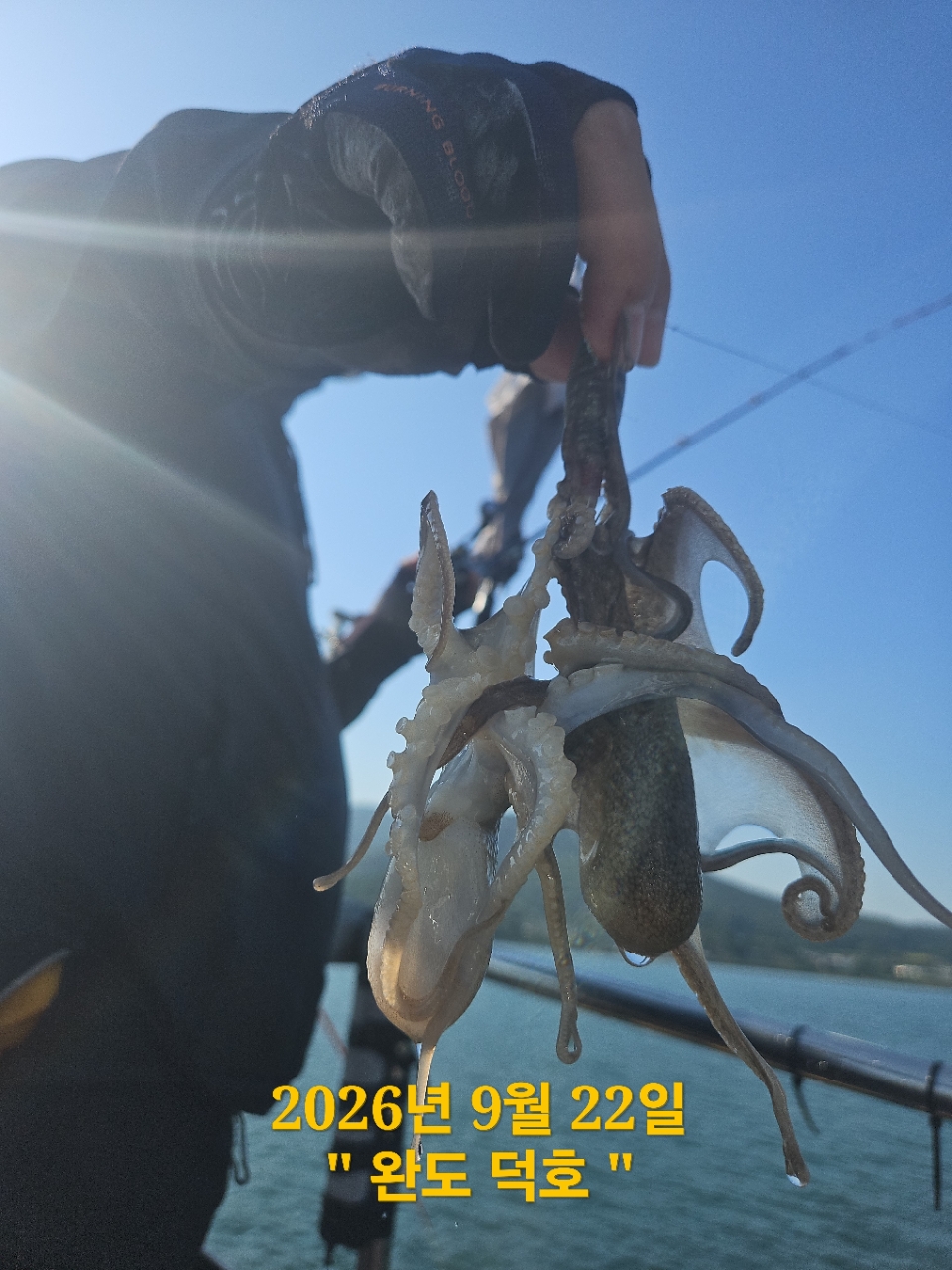 9월 22일 완도 갑오징어 선상낚시 조황 현장 사진 9