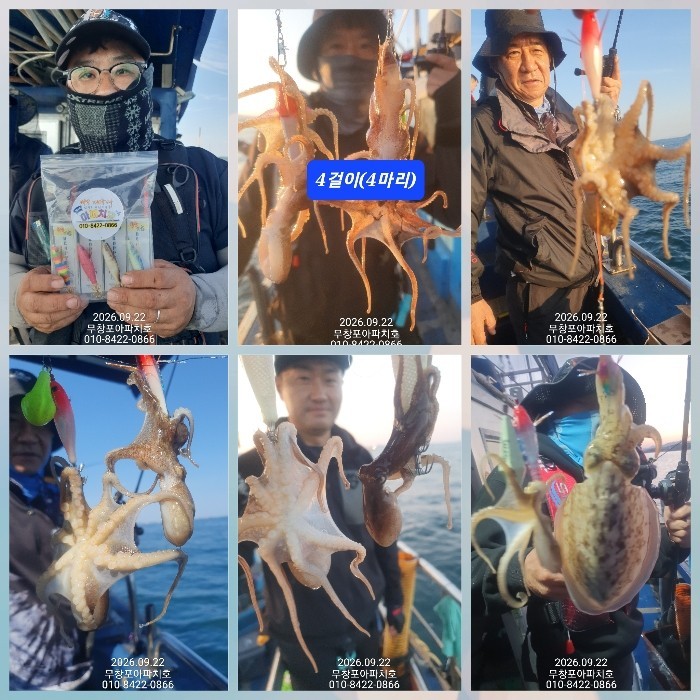 9월 22일 포항 주꾸미 선상낚시 조황 현장 사진 3